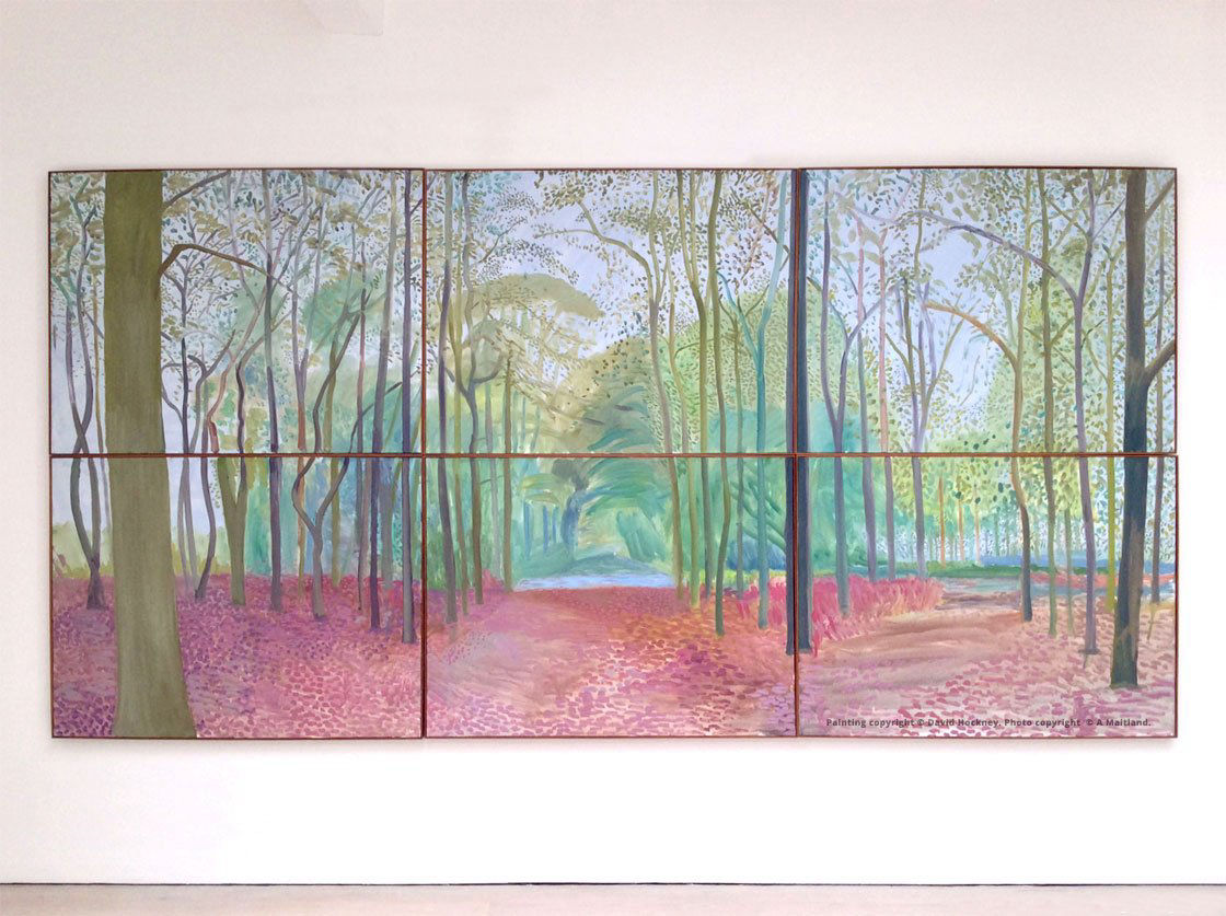 2014 exhibition visit Hockney Annely Juda gallery London UK painting Woldgate woods 1